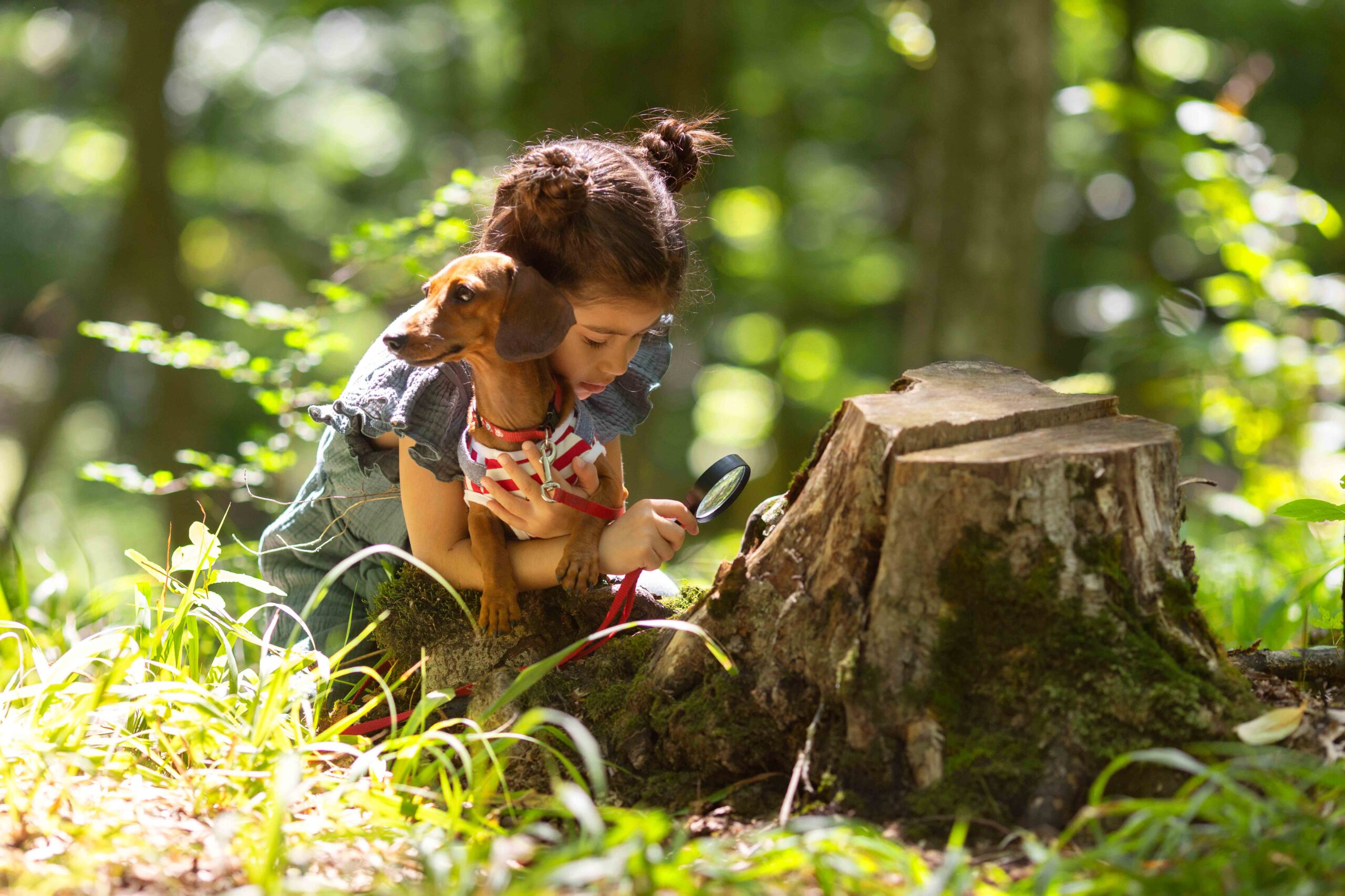 Sustainability Outdoor Education